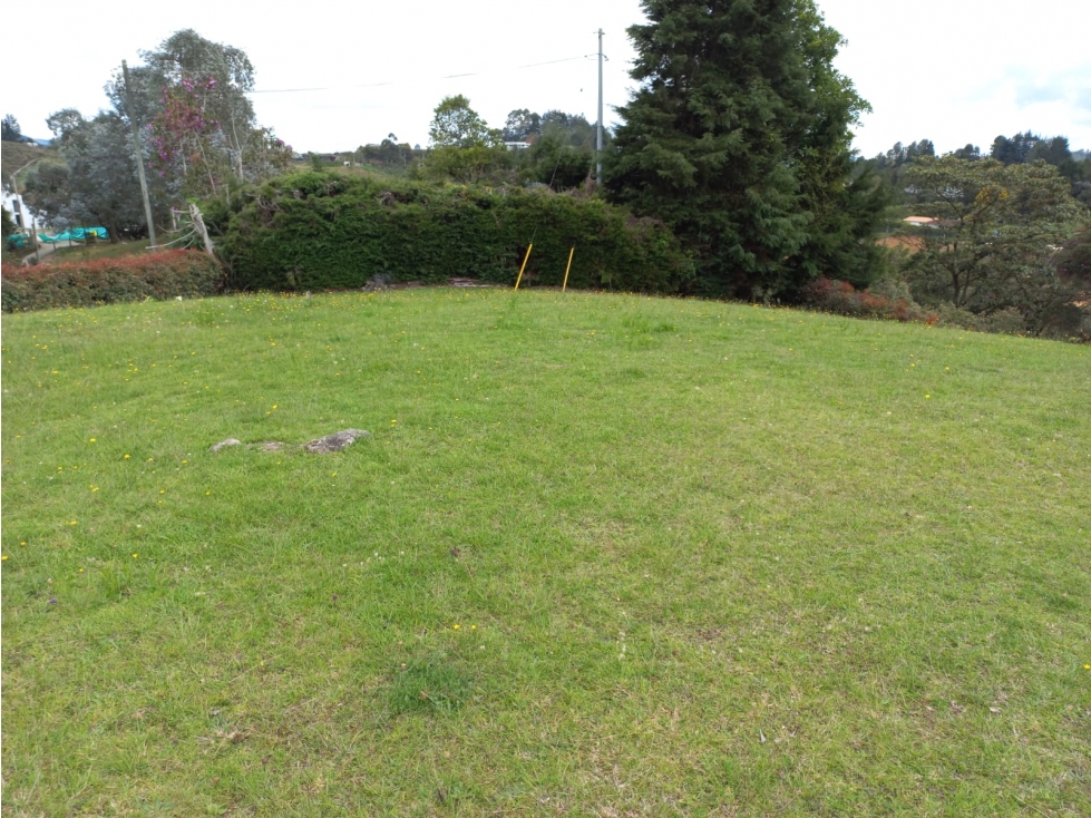 VENTA LOTE INDEPENDIENTE, ALTO DE LAS PALMAS, ENVIGADO — foto 3