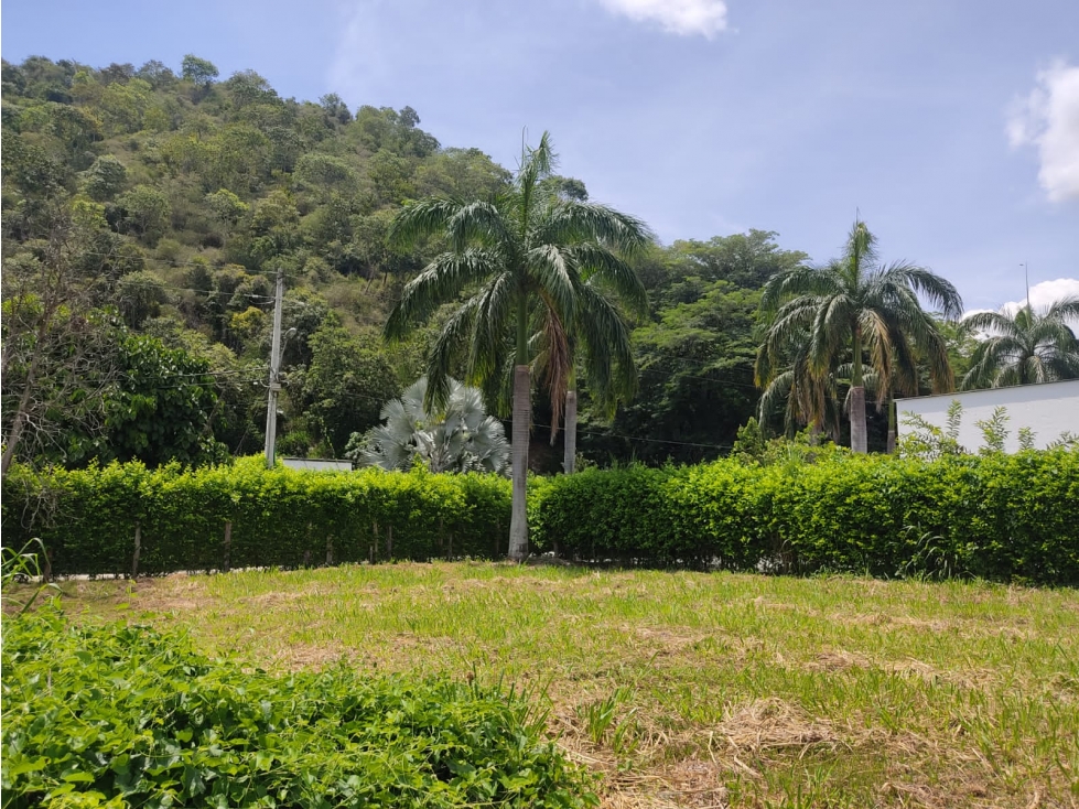 VENTA LOTE PLANO EL PALMAR, SANTA FE DE ANTIOQUIA. - 6