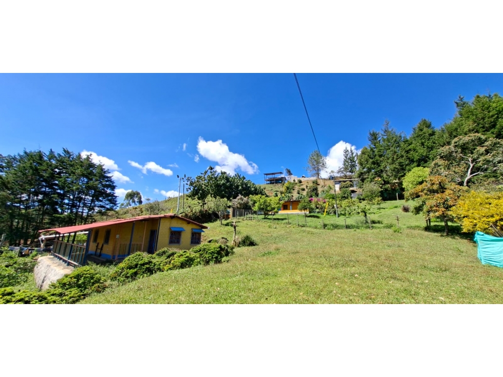 VENTA FINCA LA MOSQUITA, PARTE BAJA, GUARNE- ANT — foto 4