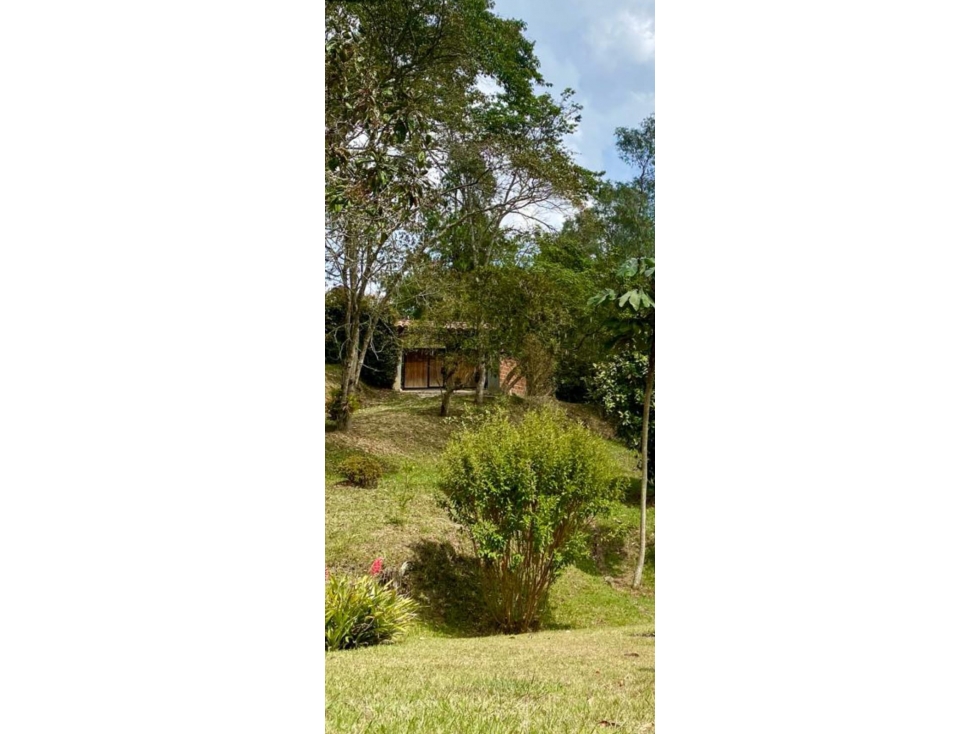 VENTA CASA LOTE, CON DOS NACIMIENTOS, GUARNE — foto 4