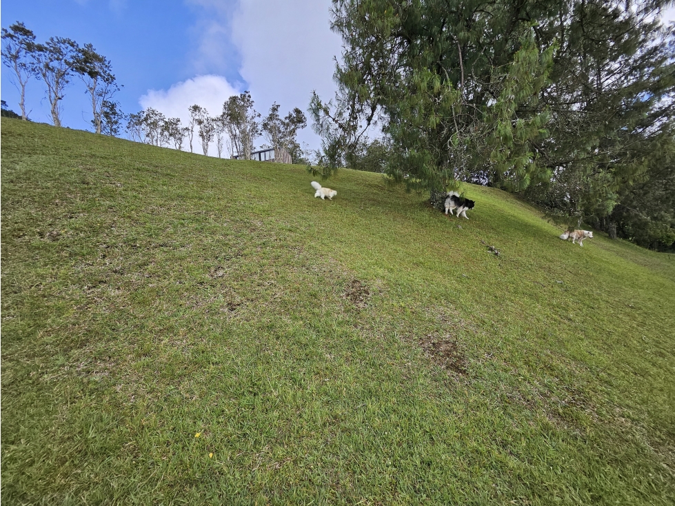VENTA LOTE EN UNIDAD CERRADA ALTO DE PALMAS, SECTOR ESCOBERO, ENVIGADO