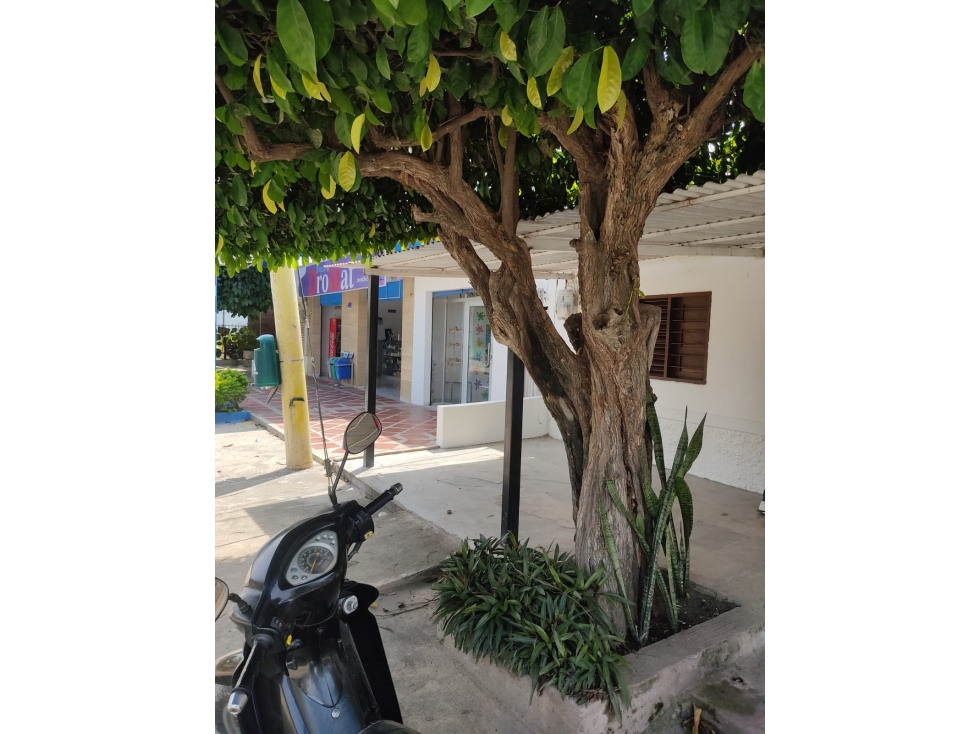CASA-3321585 - 1