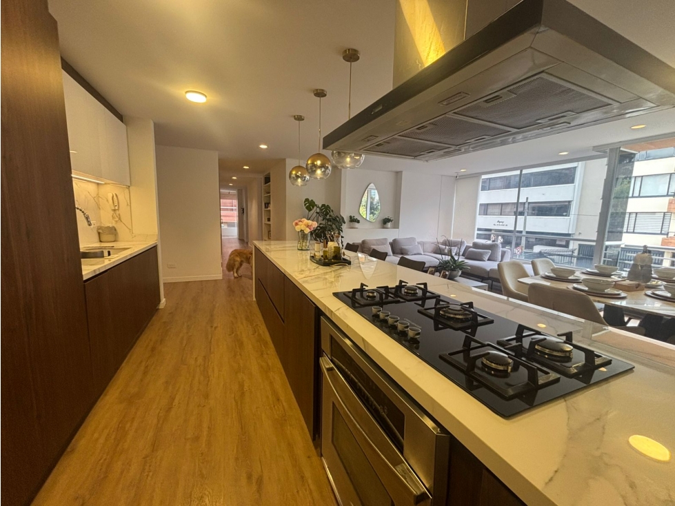 VENTA APARTAMENTO CHICO NAVARRA, 176 Mt — foto 3
