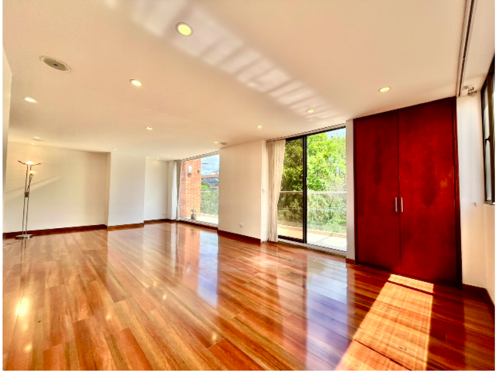 ARRIENDO APARTAMENTO PENTHOUSE SAN PATRICIO FRENTE AL PARQUE — foto 3
