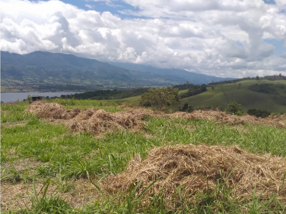 LOTE EN CALIMA VISTA AL LAGO - 1