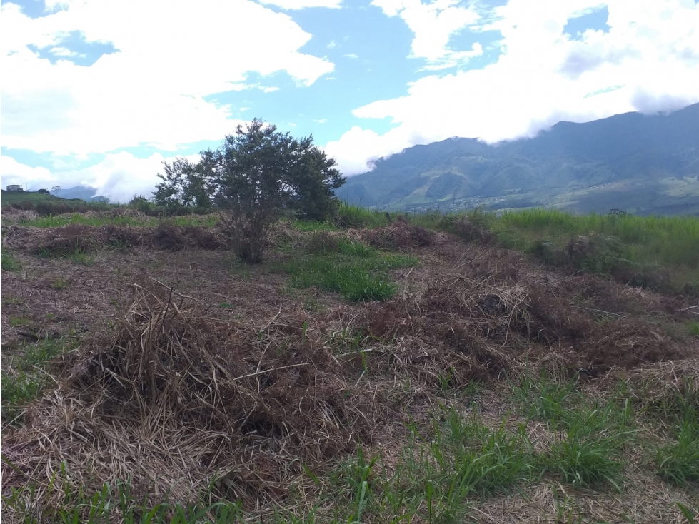 LOTE EN CALIMA VISTA AL LAGO - 3