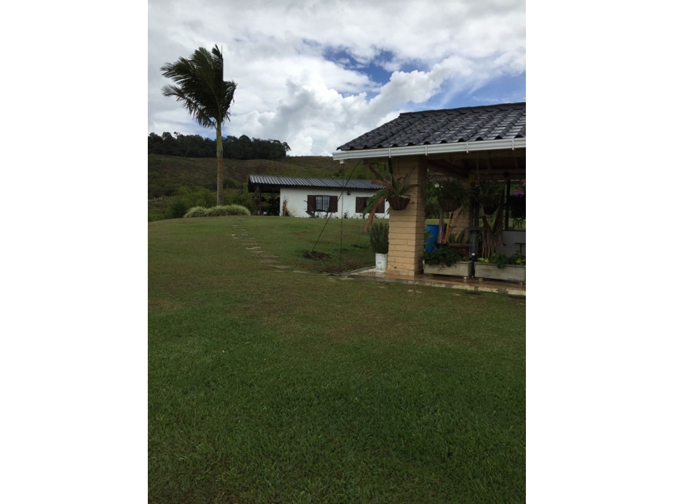 LOTE EN LA HOLANDA CALIMA CON CASA - 3