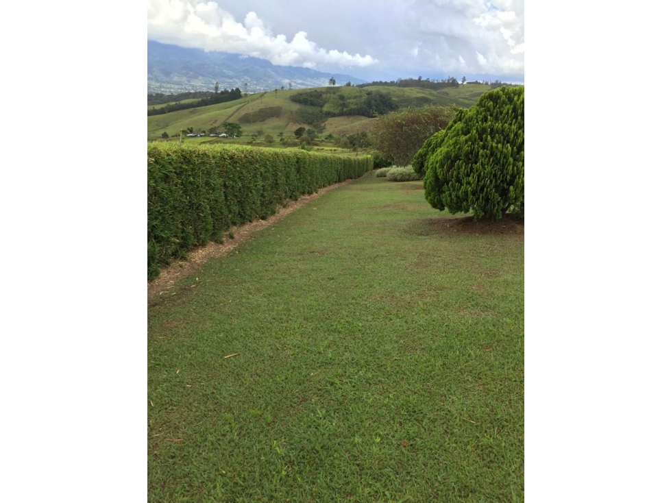 LOTE EN LA HOLANDA CALIMA CON CASA - 5