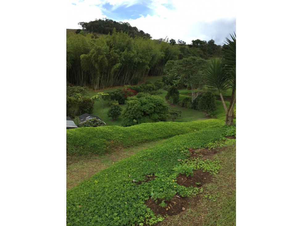 LOTE EN LA HOLANDA CALIMA CON CASA - 6