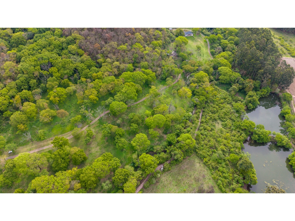 VENTA DE TERRENO EN CHACRAS DE PULARES (LOTE N° 1), CHICOANA, SALTA - 6