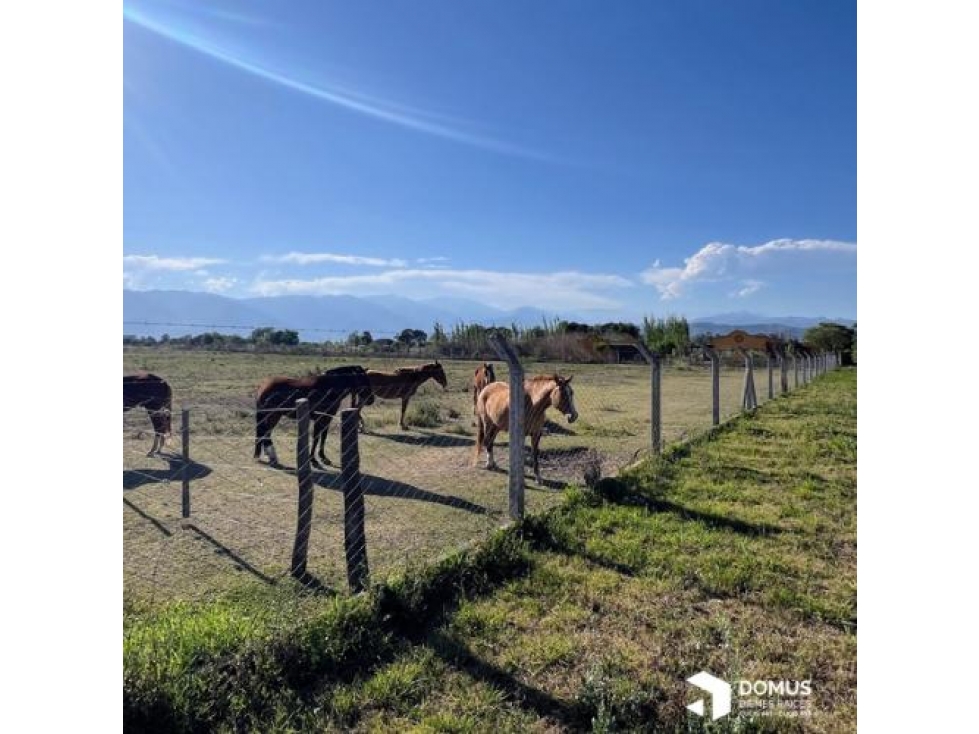 VENTA TERRENO LOS OLIVOS - 5