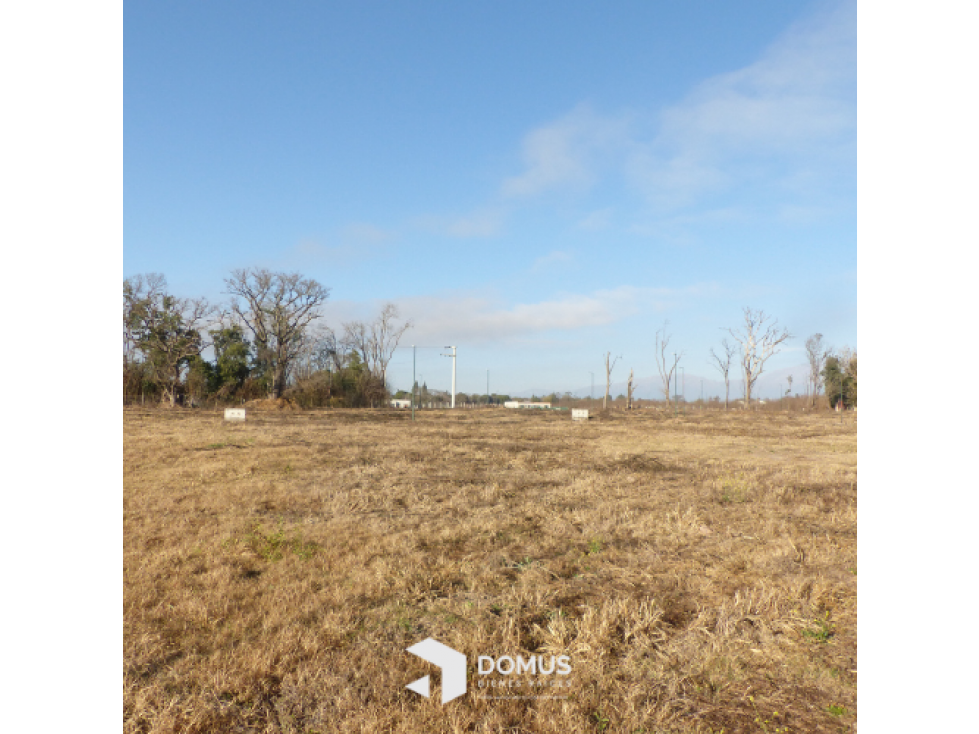 VENTA TERRENO RECODO — foto 2