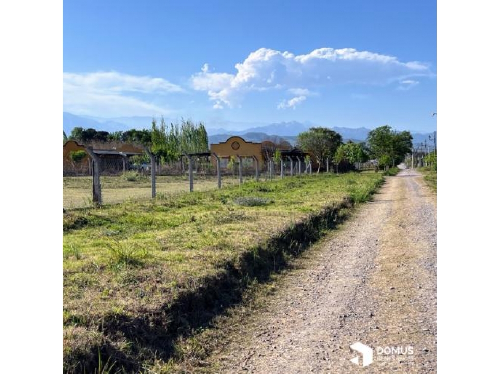 VENTA TERRENO LOS OLIVOS - 1