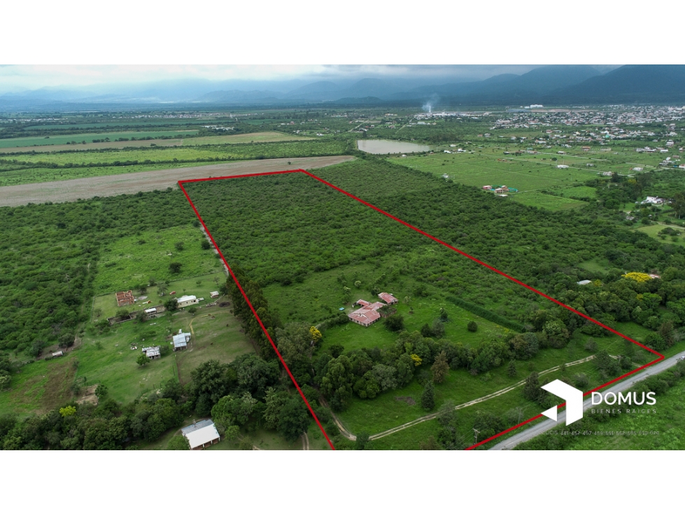 VENTA 12 HECTAREAS EN CAMPO QUIJANO - 2