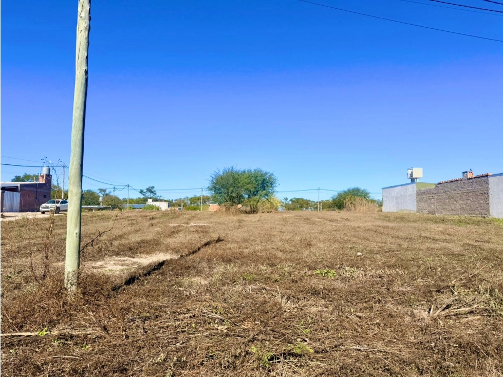 VENTA TRES TERRENOS CONTIGUOS EN ALGARROBOS I - 4