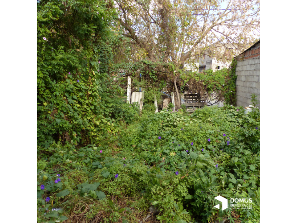 VENTA TERRENO SAN ANTONIO — foto 2