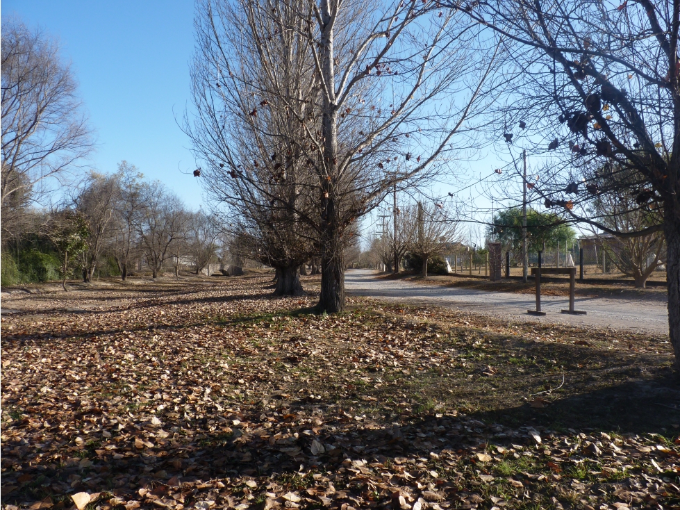 VENTA TERRENO CLUB DE CAMPO CAPIASU - 3
