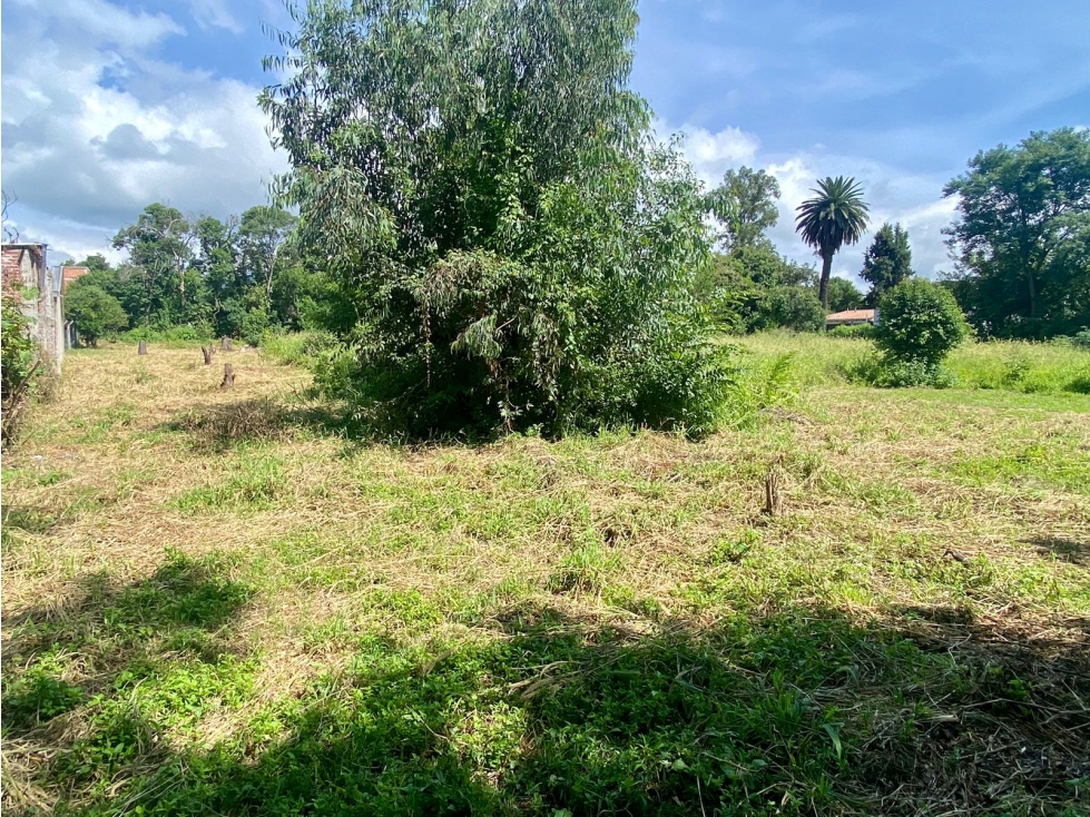 VENTA TERRENO EN VAQUEROS 4000 M2 - 3