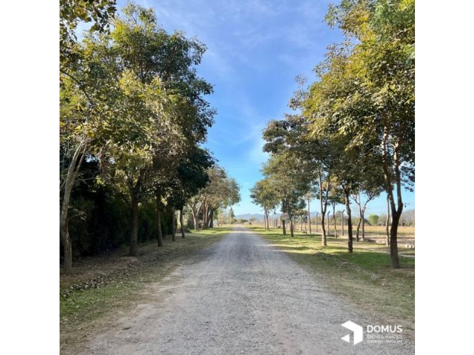 VENTA TERRENO BARRIO PRIVADO LOS OLMOS - CERRILLOS - 5