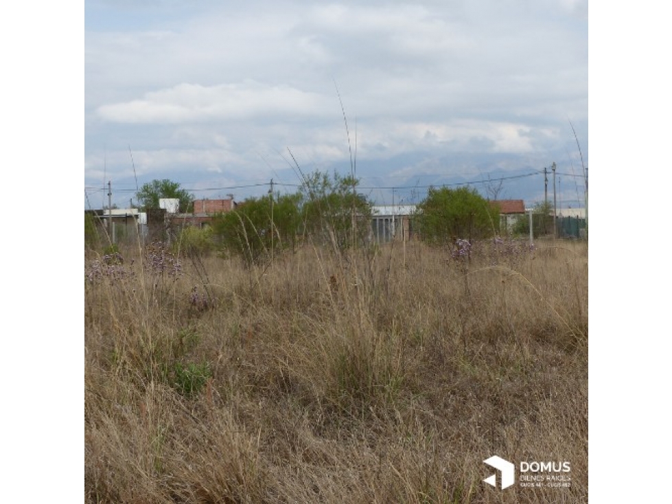 VENTA TERRENO RETOÑOS DE COLON - 3
