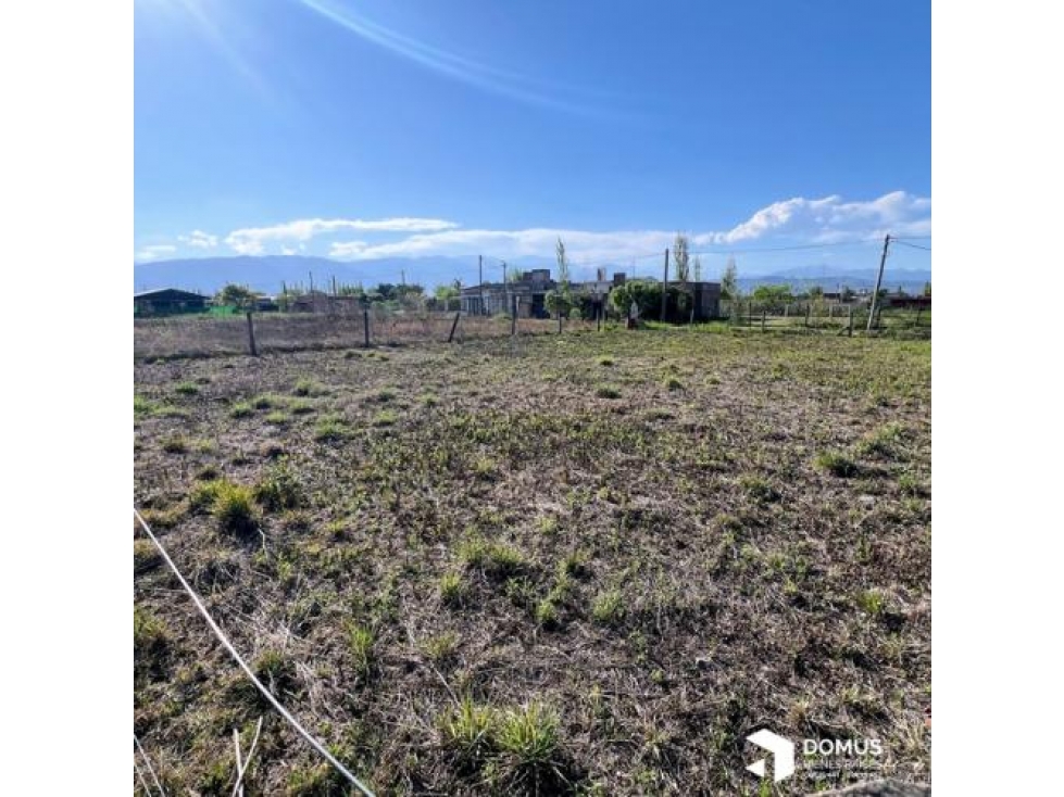 VENTA TERRENO LOS OLIVOS - 4