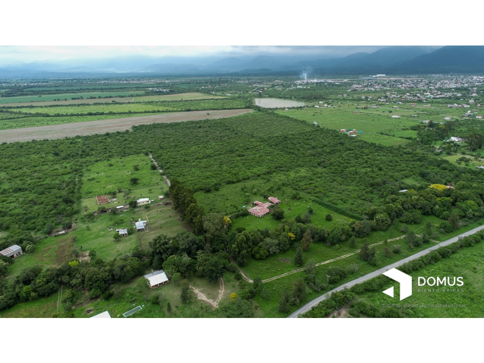 VENTA 12 HECTAREAS EN CAMPO QUIJANO - 3
