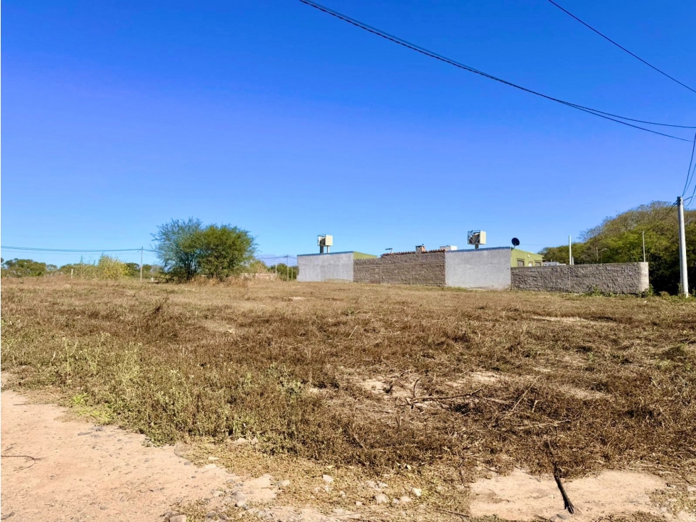 VENTA TRES TERRENOS CONTIGUOS EN ALGARROBOS I - 3
