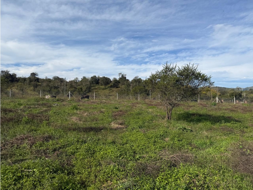 VENTA TERRENO EN LA CALDERA - 3