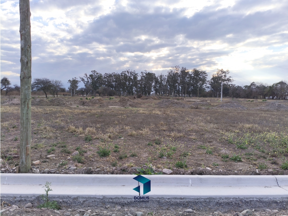 VENTA TERRENO LOS OLMOS 360 - 3