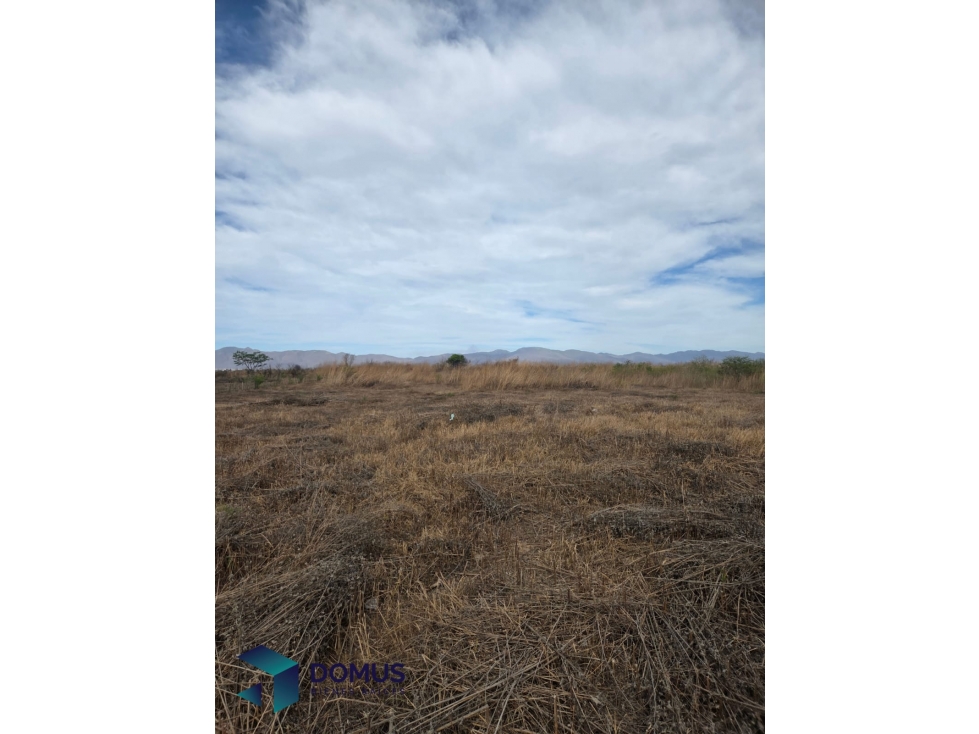 Venta Terreno - Una Hectárea - 1