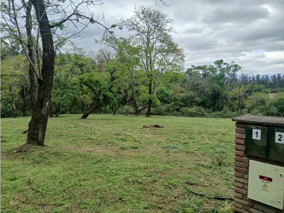 VENTA DE TERRENO EN CHACRAS DE PULARES (LOTE N° 1), CHICOANA, SALTA — foto 3