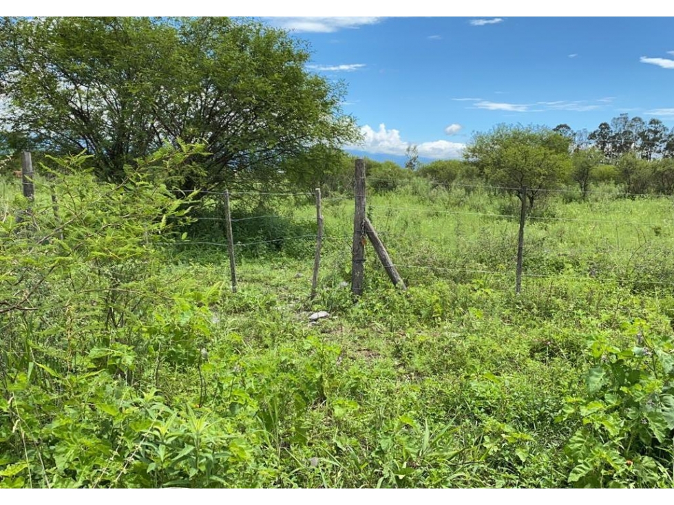 VENTA HECTAREA EN CAMPO QUIJANO - 3