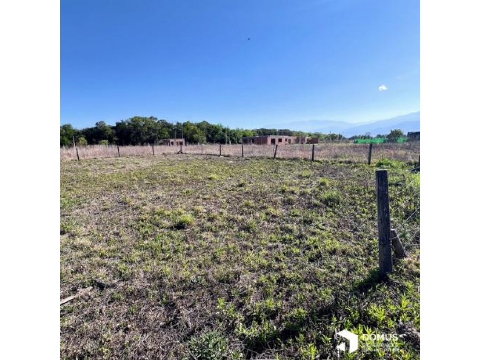 VENTA TERRENO LOS OLIVOS - 2