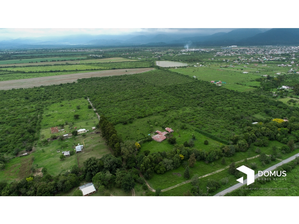 VENTA 12 HECTAREAS EN CAMPO QUIJANO - 4