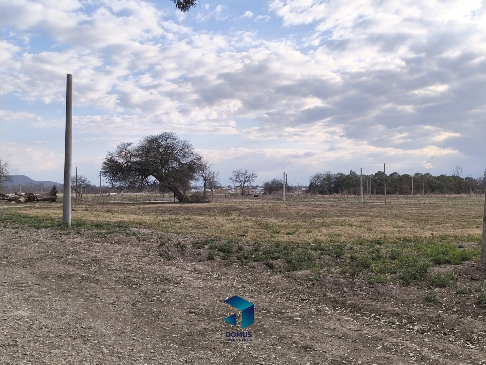 VENTA TERRENO LOS OLMOS 360 - 4