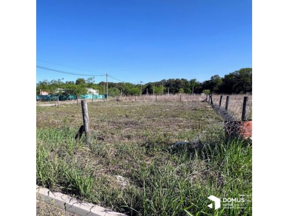VENTA TERRENO LOS OLIVOS - 3