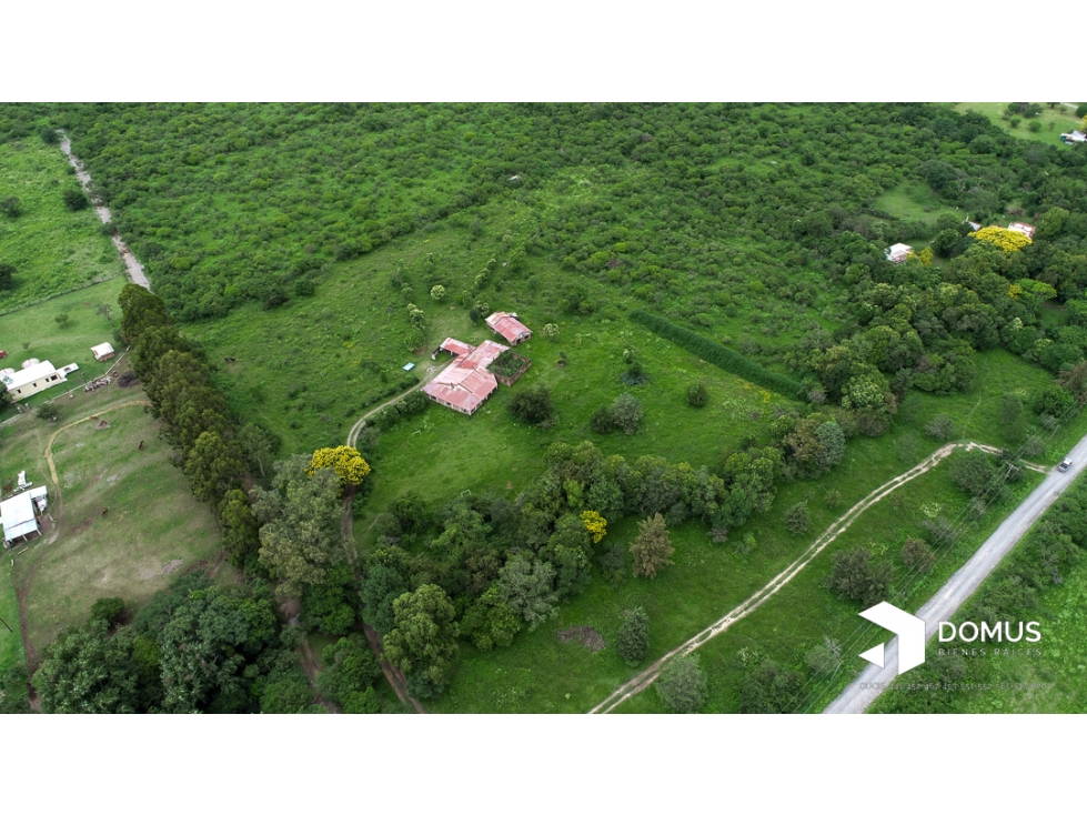VENTA 12 HECTAREAS EN CAMPO QUIJANO - 6