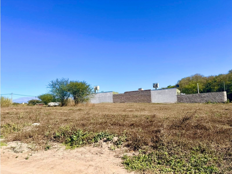 VENTA TRES TERRENOS CONTIGUOS EN ALGARROBOS I - 5