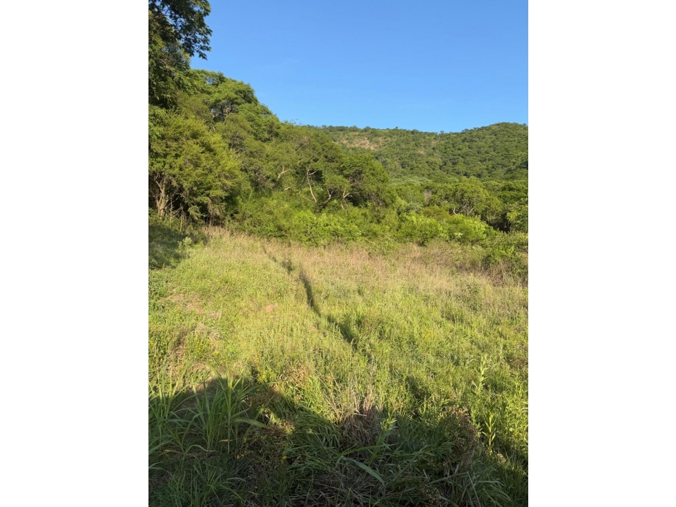 VENTA TERRENO ZONA NORTE - 6