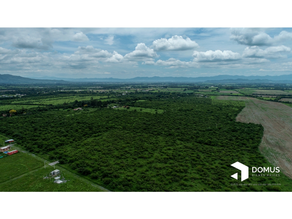 VENTA 12 HECTAREAS EN CAMPO QUIJANO - 5