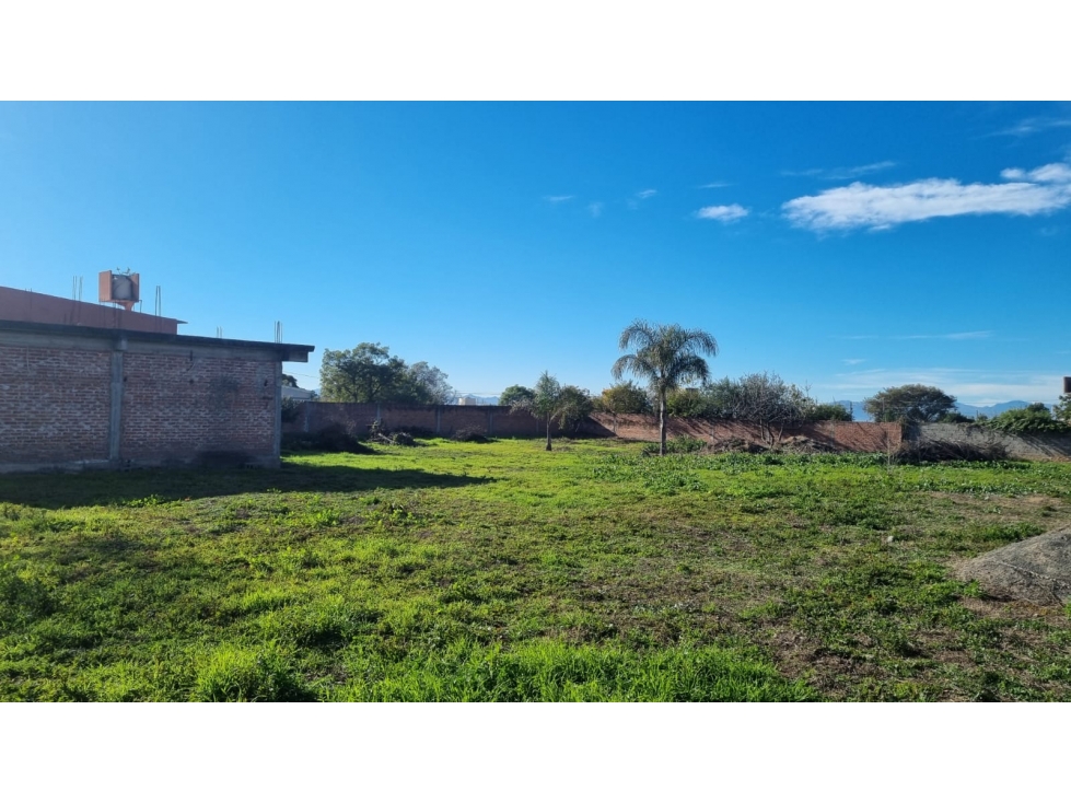 VENTA PREDIO CON LOCAL COMERCIAL CAMPO QUIJANO - 6