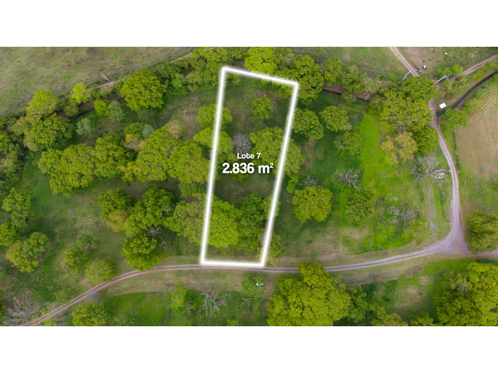 VENTA DE TERRENO EN CHACRAS DE PULARES (LOTE N° 7), CHICOANA, SALTA - 2