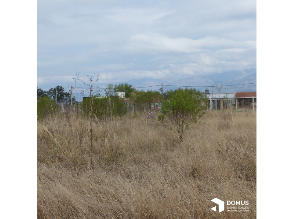 VENTA TERRENO RETOÑOS DE COLON - 5