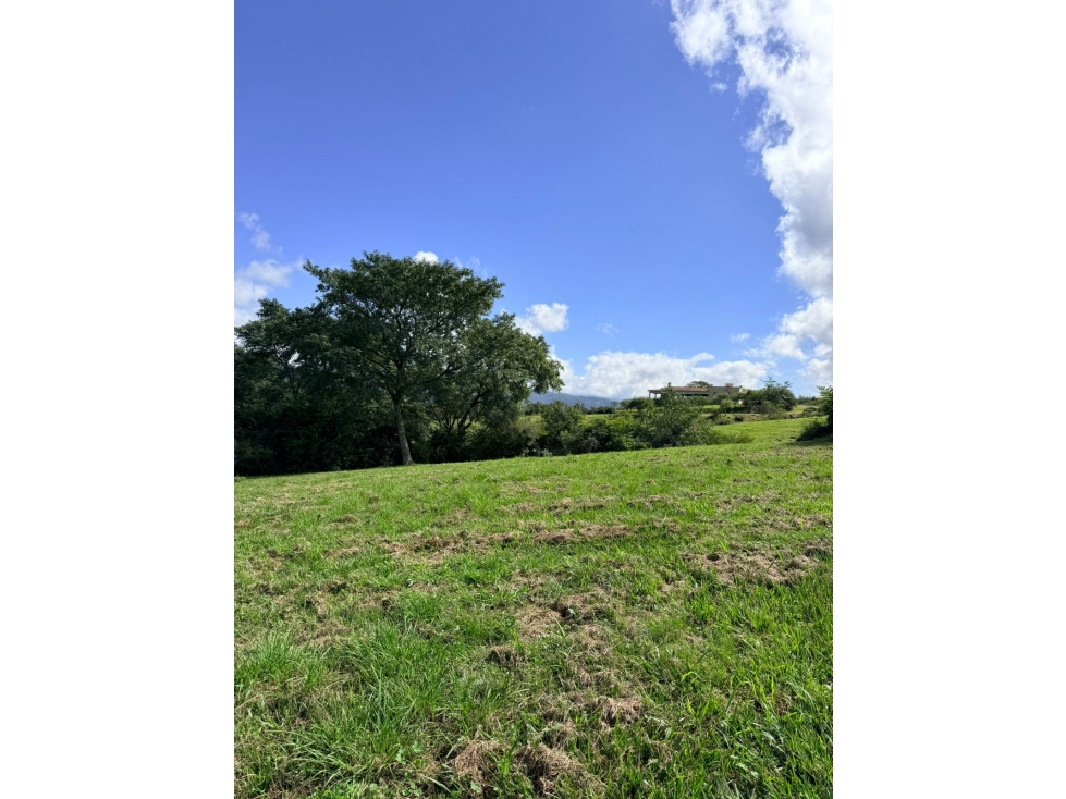 VENTA TERRENO URBANIZACION SAN ROQUE, LA CALDERILLA - 5