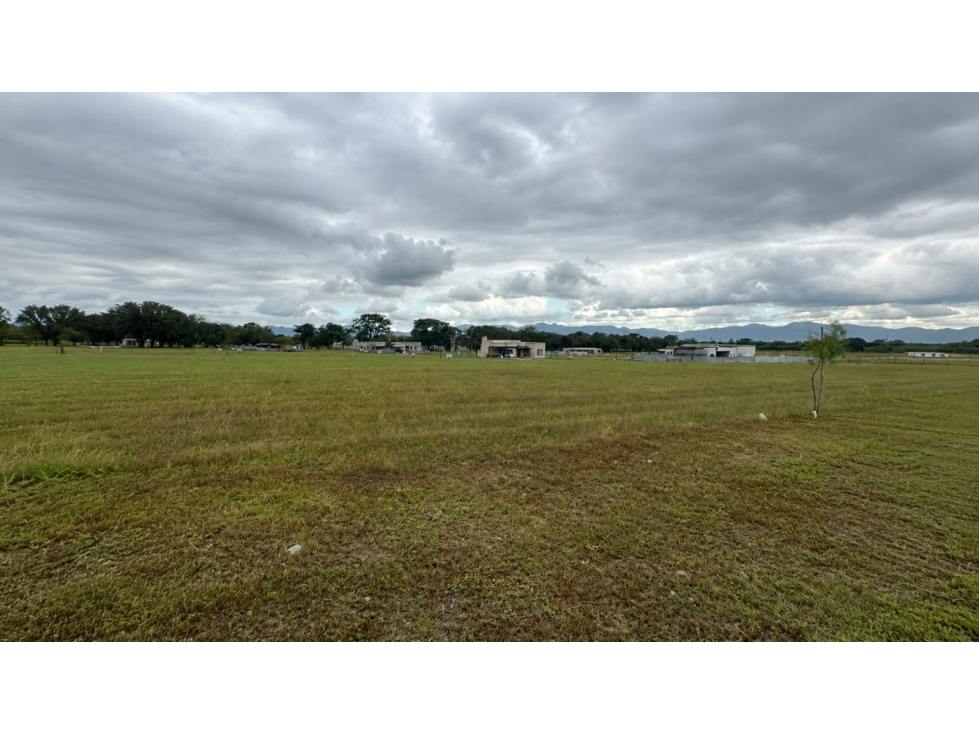 VENTA DE TERRENO LA ARBOLADA - 3