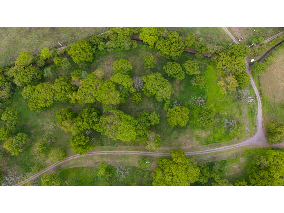 VENTA DE TERRENO EN CHACRAS DE PULARES (LOTE N° 7), CHICOANA, SALTA - 3