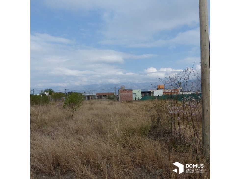VENTA TERRENO RETOÑOS DE COLON - 6