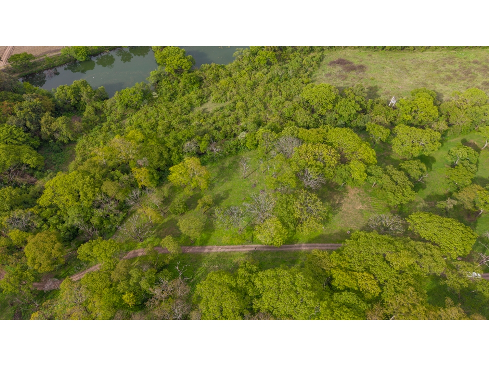 VENTA DE TERRENO EN CHACRAS DE PULARES (LOTE N° 2), CHICOANA, SALTA - 3