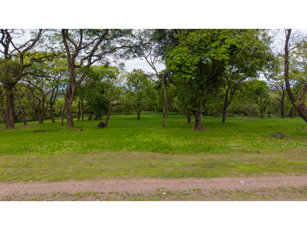 VENTA DE TERRENO EN CHACRAS DE PULARES (LOTE N° 7), CHICOANA, SALTA - 4