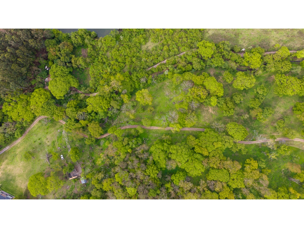 VENTA DE TERRENO EN CHACRAS DE PULARES (LOTE N° 2), CHICOANA, SALTA - 4